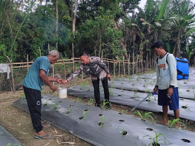 
Lapas Wahai Tingkatkan Kualitas Panen