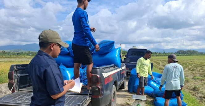 
Bulog Serap Gabah dan Beras Pulau Buru