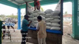 Bulog Maluku