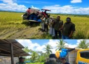 BULOG Tembus 3 Juta Ton Serapan Gabah-Beras Petani, Rekor Baru Penguatan Cadangan Pangan Nasional