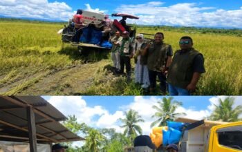 BULOG Tembus 3 Juta Ton Serapan Gabah-Beras Petani, Rekor Baru Penguatan Cadangan Pangan Nasional