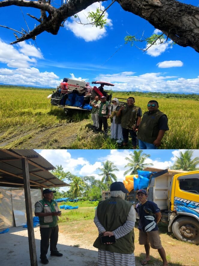 
BULOG Tembus 3 Juta Ton Serapan Gabah-Beras Petani, Rekor Baru Penguatan Cadangan Pangan Nasional