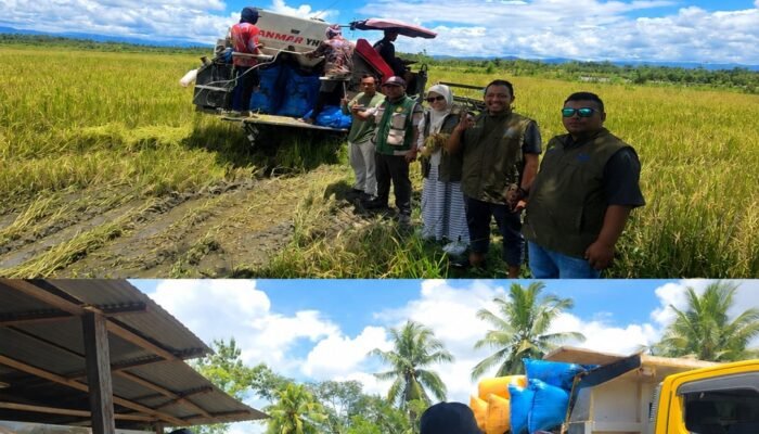 BULOG Tembus 3 Juta Ton Serapan Gabah-Beras Petani, Rekor Baru Penguatan Cadangan Pangan Nasional