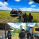 BULOG Tembus 3 Juta Ton Serapan Gabah-Beras Petani, Rekor Baru Penguatan Cadangan Pangan Nasional