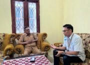 PLN Gandeng Pemerintah Percepat Pendataan Penerima BPBL Listrik