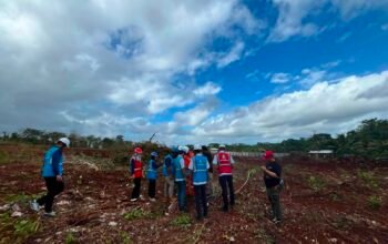 PLN Matangkan Listrik Dukung Ground Breaking Masela