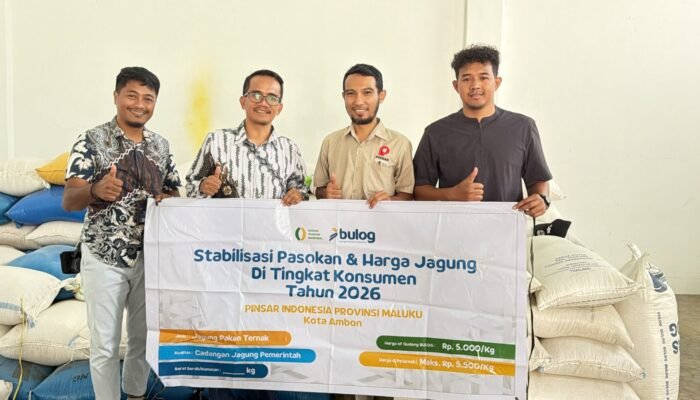 Harga Jagung Subsidi Rp5.000, Bulog Maluku Prioritaskan Peternak Mikro
